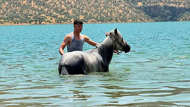 Siirt'te 39 Dereceyi Gören Sıcaklarda Vatandaşlar Atlarını Suya Sokarak Serinletti
