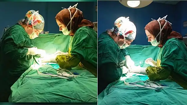 Siirt'te 6 Aylık Bebeğe Kritik Müdahale: Duru Hastanesi'nde Zamanında Müdahale Hayat Kurtardı