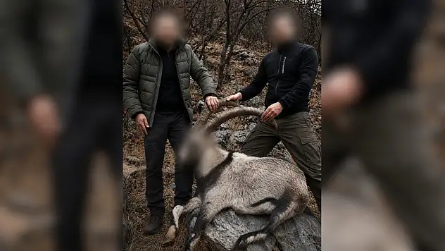 Siirt'te 6 Yıl Önce 5 Yaban Keçisini Kaçak Avlayan Şahıslar Tespit Edildi
