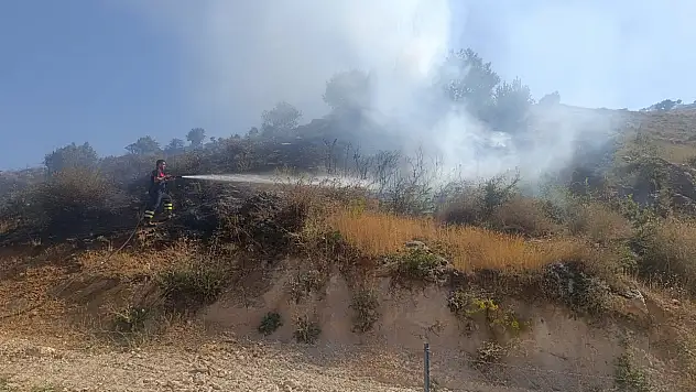 Siirt'te 60 Dönümlük Mera Alanı Küle Döndü, Facia Son Anda Önlendi