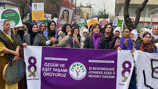 Siirt'te 8 Mart Yürüyüşü!