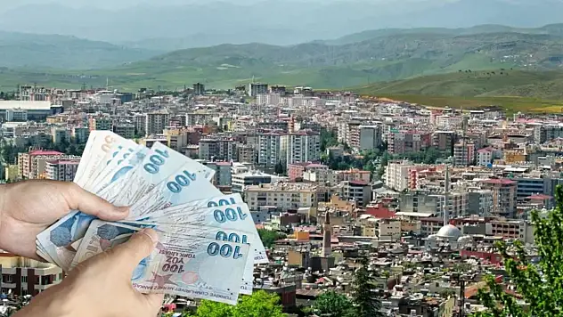 Siirt'te Aralık Ayında Ortalama Kira Fiyatları Ne Kadar Oldu? Türkiye Sıralamasında 61. Basamakta