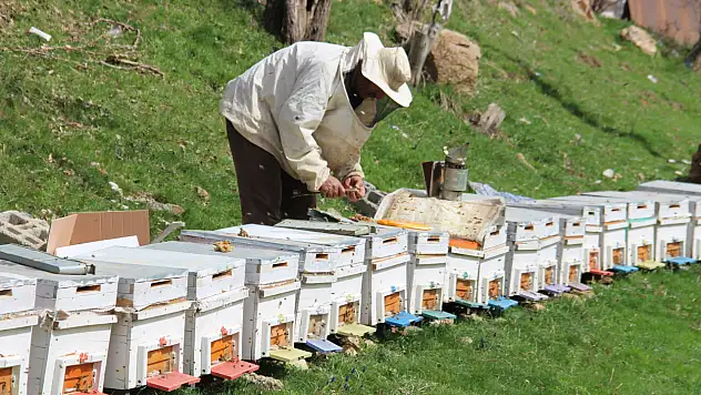 Siirt'te Arıcılara Destek: 100 Aileye Kovan Dağıtılacak