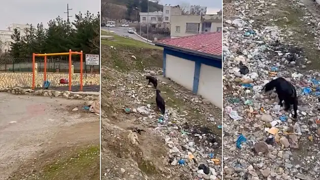 Siirt'te Atılan Çöpler Çocuk Parkını Kullanılamaz Hale Getirdi