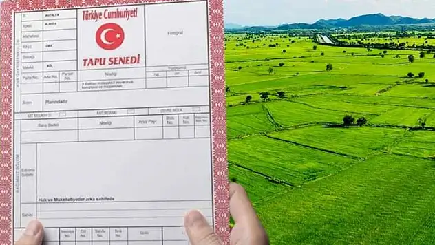 Siirt'te bağ evi ve bungalovlara sıkı denetim: izinsiz yapılar yıkılacak