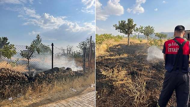 Siirt'te Bağ Yangını: 33 Fıstık Ağacı ve Çok Sayıda Meyve Ağacı Zarar Gördü