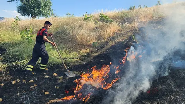 Siirt'te Bağda Yangın Çıktı İtfaiye Müdürü Yılmaz Piknikçilere ve Tatilcilere Uyarda Bulundu