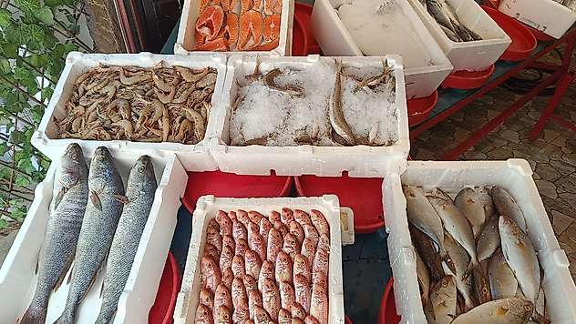 Siirt'te Balık Fiyatları Belli Oldu: Kış Yaklaşırken Talep Artıyor