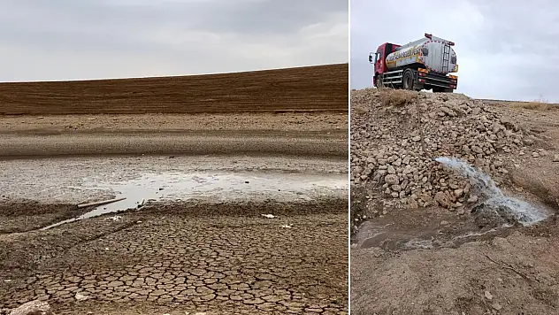 Siirt'te Balıklar Ölümle Burun Buruna: Gölete 80 Ton Su Takviyesi Yapıldı