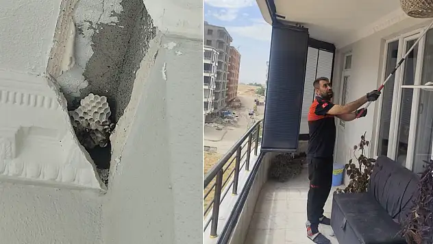 Siirt'te Balkonu Eşek Arıları Sardı: İtfaiye Ekipleri Müdahale Etti