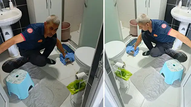 Siirt'te Banyo Giderine Giren Yavru Kediler İçin Kurtarma Operasyonu