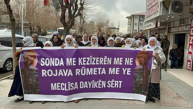 Siirt'te Barış Anneleri'nden Suriye'nin kuzeyine dikkat çeken açıklama