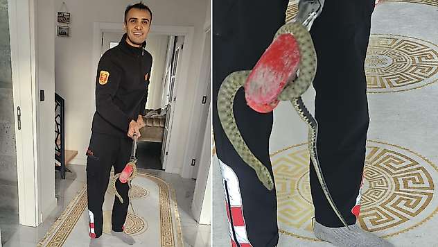 Siirt'te Bir Eve Giren 1,5 Metrelik Yılan 3 Saatlik Çalışmayla Yakalandı