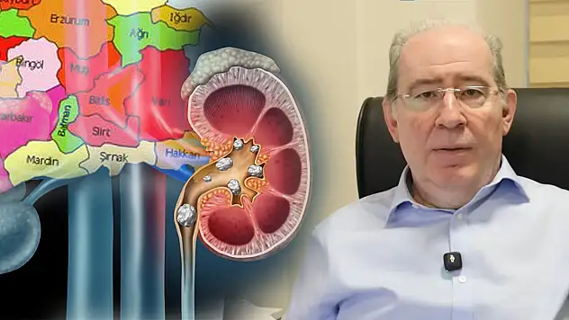 Siirt'te Böbrek Taşı Alarmı! Prof. Dr. Azmi Levent Sağnak Uyardı: İhmal Ölümcül Sonuçlar Doğurabilir