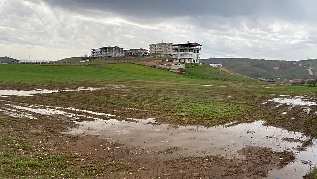 Siirt'te Çiftçilere Yağış Uyarısı: Hububat Tarlalarında Su Birikimine Dikkat