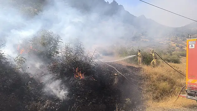 Siirt'te Çıkan Orman Yangını Kontrol Altına Alındı