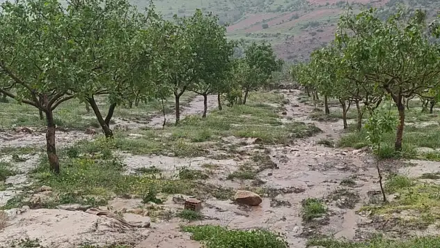 Siirt'te Dolu Felaketi: Fıstık Bahçeleri ve Sebze Fideleri Zarar Gördü