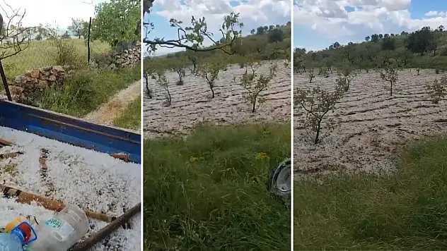 Siirt'te Etkili Olan Dolu Yağışı Fıstık Bahçelerini ve Üzüm Bağlarını Vurdu