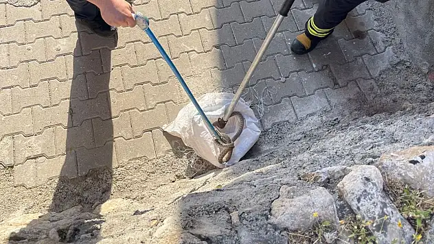 Siirt'te Evin Bahçesinde Görülen 1,5 Metrelik Yılan Yakalandı