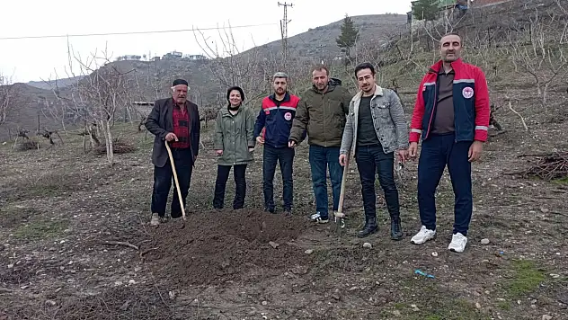 Siirt'te fıstık ağaçları kuruyor, sahada inceleme başlatıldı