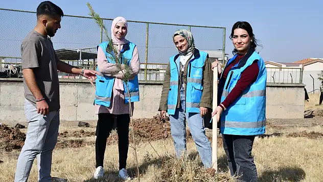 Siirt'te 'Geleceğe Nefes' Seferberliği: Fidanlar Toprakla Buluştu