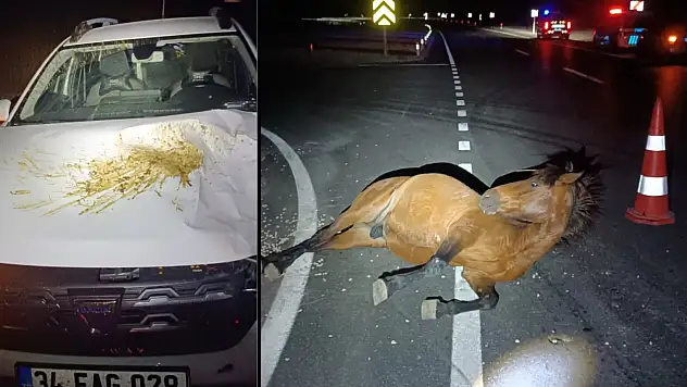 Siirt'te İki Araç İki Ata Çarptı: 1 At Öldü, Diğeri Yaralandı