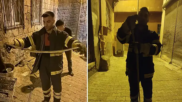 Siirt'te İki Ayrı Noktada Yılan Alarmı: İtfaiye Ekipleri Müdahale Etti