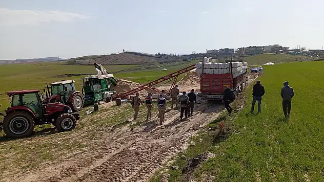 Siirt'te iş kazasında silah patladı: İşçi yaralandı