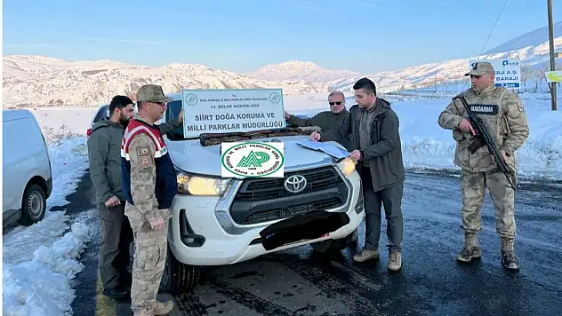 Siirt'te Kaçak Avcılığa Ağır Ceza: 6 Güvercin 40 Bin TL'ye Mal Oldu