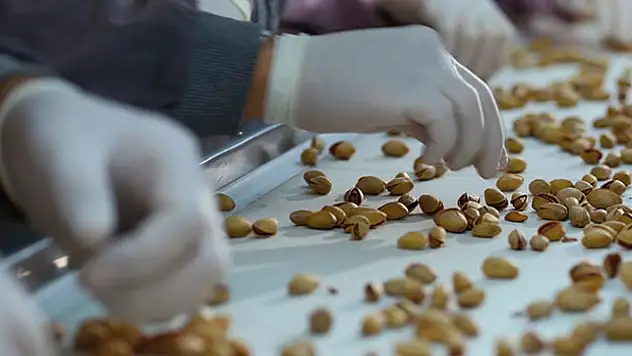 Siirt'te kadınlar ihracata 2,8 milyon dolar katkı sağladı