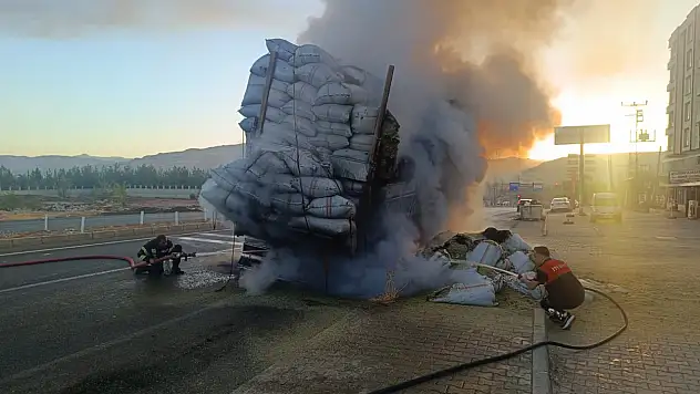 Siirt'te Kamyon Yangını: 14 Ton Saman Zarar Gördü
