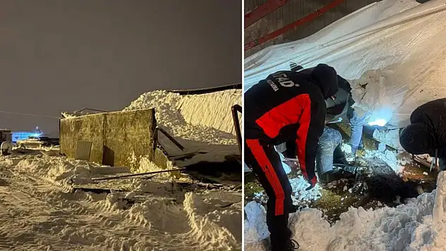 Siirt'te kar nedeniyle 3 ahır çöktü: 250 hayvan telef oldu!