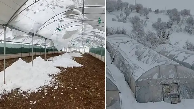 Siirt'te kar yağışı seraları çökertti
