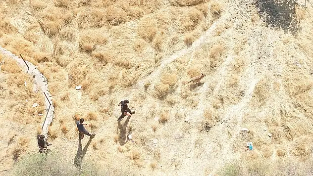 Siirt'te kaybolan alzaymır hastası Ramazan Batur için arama çalışmaları sona yaklaştı