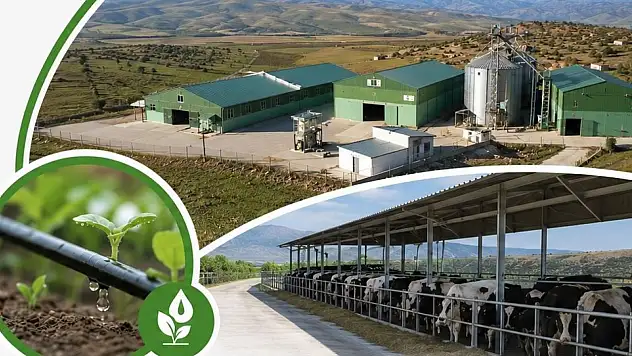 Siirt'te Kırsal Kalkınma ve Sulama Destekleri İçin Bilgilendirme Toplantısı Düzenlenecek