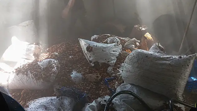 Siirt'te Korkutan Yangın: Odada İstiflenen Ceviz Kabukları Alev Aldı