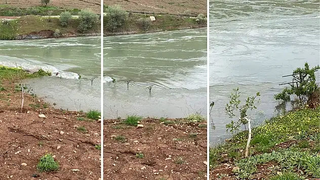 Siirt'te Limak Barajı kaynaklı taşkın iddiası: Fıstık bahçeleri su altında kaldı