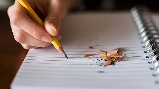 Siirt'te liseler arası şiir heyecanı başlıyor: Dereceye girenlere para ödülü