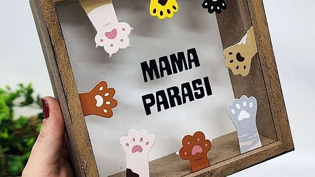 Siirt'te İzinsiz Mama Desteği Toplayan Kişiye 948 Bin TL İdari Para Cezası