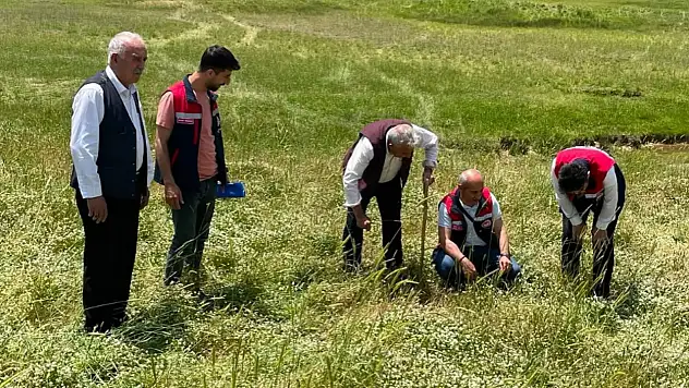 Siirt'te Mera Varlığı Artıyor! İlk 6 Ayda 8 Bin Hektar Yeni Alan Kayıt Altına Alındı