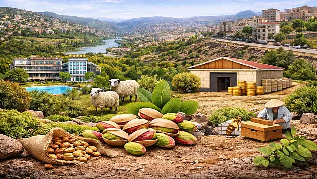 Siirt'Te Milyonluk Yatırımlar İçin ''Yerel Kalkınma Hamlesi'' Bilgilendirme Toplantısı Düzenlenecek