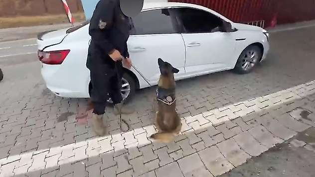 Siirt'te Narkotik Köpeği Araçtaki 5 Kilo 600 Gram Skunk'ı Buldu