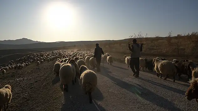 Siirt'te nüfus düşüşü sürüyor: Köylerde de göç devam ediyor