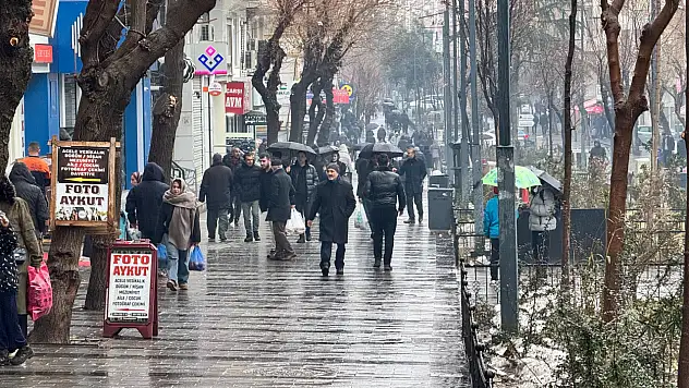 Siirt'te ocak yağışları yüzde 49 arttı