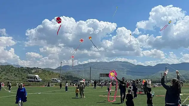 Siirt'te Gökyüzü Renklendi: Geleneksel Uçurtma Şenliği 5. Kez Coşkuyla Kutlandı