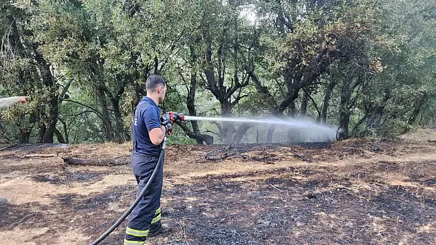 Siirt'te Orman Yangını! Ekipler Seferber Oldu
