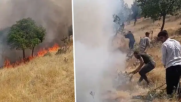 Siirt'te Örtü Yangını: 60 Dönüm Alan Kül Oldu