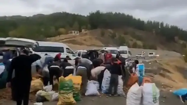 Siirt'te Patates İzdihamı! Kamyonun Yükü Yola Saçıldı, Vatandaşlar Toplamak İçin Birbirini Ezdi