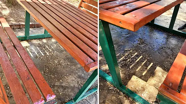 Siirt'te Piknik Keyfi Sonrası Aynı Görüntü: Çöpler Geride Kaldı