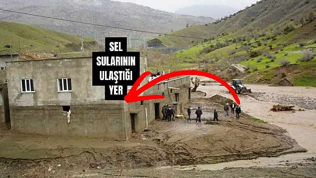 Siirt'te Sel Felaketi: İmaç Ailesine Ait 35 Hayvan Akıntıya Kapıldı